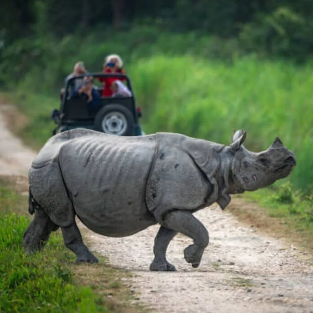 อุทยานแห่งชาติกาซีรังคา