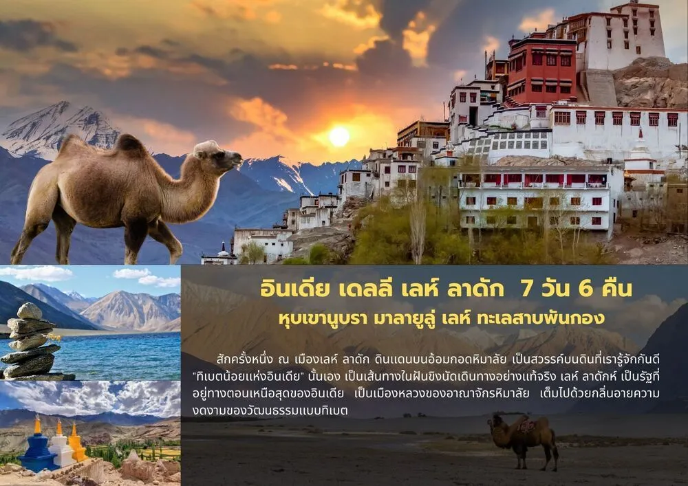 LINE_ALBUM_2025.12.25 _6_251226_5_5_11zon